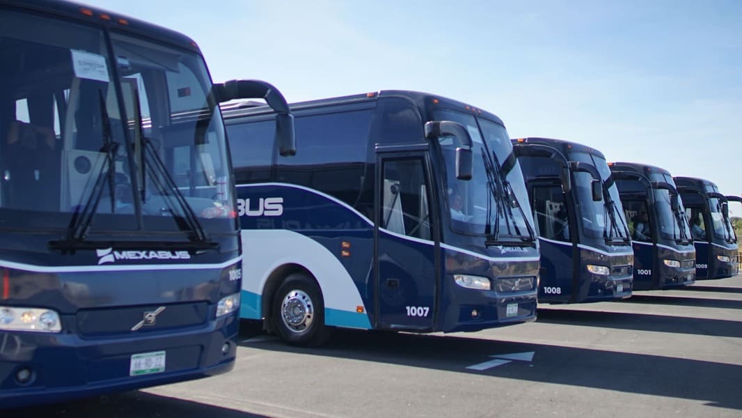 mexabus transporte (12)